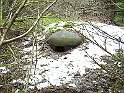 Casemate de Bourene Ouest - PICT2039